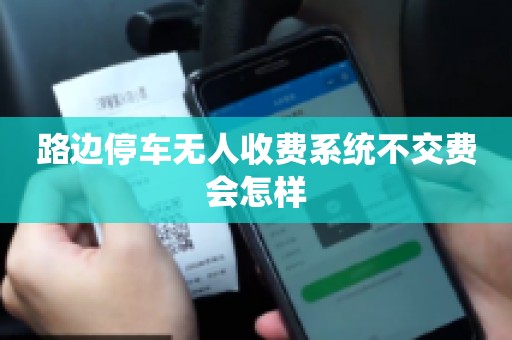 马路边停车无人收费系统不扫码交费会怎样