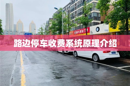 路边停车收费系统原理介绍