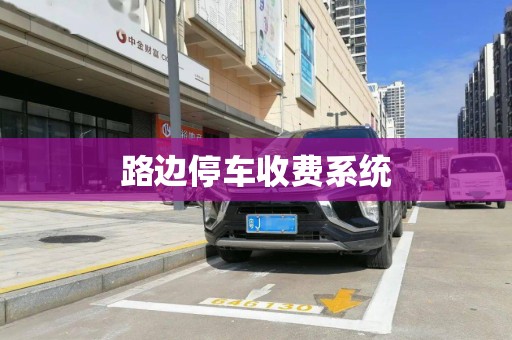 路边停车收费系统 路边停车收费系统