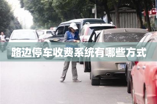 路边停车收费系统有哪些方式 路边停车收费系统有哪些方式