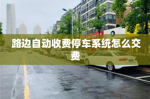 路边自动收费停车系统怎么交费 路边自动收费停车系统怎么交费